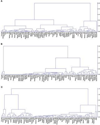 Physicochemical properties and molecular mechanisms of different resistant starch subtypes in rice